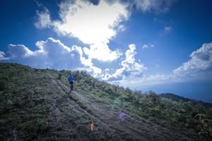 BIB: 
                            <button type="button" onclick="openModal(15955423)" class="btn btn-primary btn-sm float-right btn-popup" data-toggle="modal" data-target=".modal-high-quality">
                        <i class="fas fa-shopping-cart"></i> Add to Cart
                    </button>
                                            <button type="button" onclick="isThisMe(15955423, true)" class="btn btn-success btn-sm float-right btn-popup btn-isme hidden" data-toggle="tooltip" data-placement="bottom" title="นี่คือรูปของคุณใช่ไหม คลิกที่นี่เพื่อเอาเข้าอัลบั้ม">
                        <i class="fas fa-plus"></i> Add to album
                    </button>
                    <button type="button" onclick="isThisMe(15955423, false)" class="btn btn-warning btn-sm float-right btn-popup btn-isnotme hidden">
                        <i class="fas fa-ban"></i> Remove from album
                    </button>